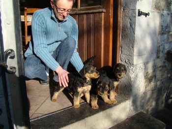 chiots_6semaines_fifilles_4.JPG