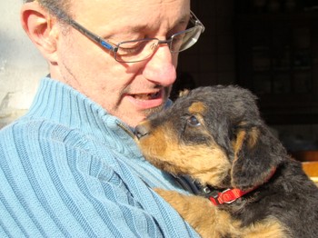 chiots_6semaines_kimby_9.JPG