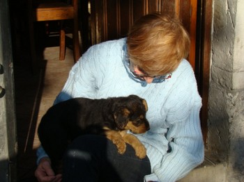 chiots_6semaines_les8_24.JPG