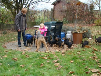 chiots_7semaines_les8_7.JPG