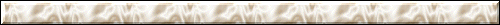 arriereplan_siameseback_3_ligne.gif